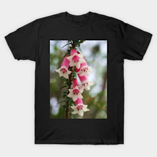 Epacris longiflora .. fuchsia heath T-Shirt